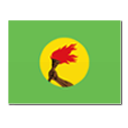 コンゴ民主共和国（旧国名）の国旗
